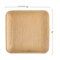 Smarty Had A Party 6" Square Palm Leaf Eco Friendly Disposable Appetizer/Salad Plates (100 Plates), 100PK 4676S-CASE - alternate 2